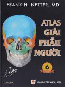 Atlas Giải Phẫu Người – Frank H. Netter, MD